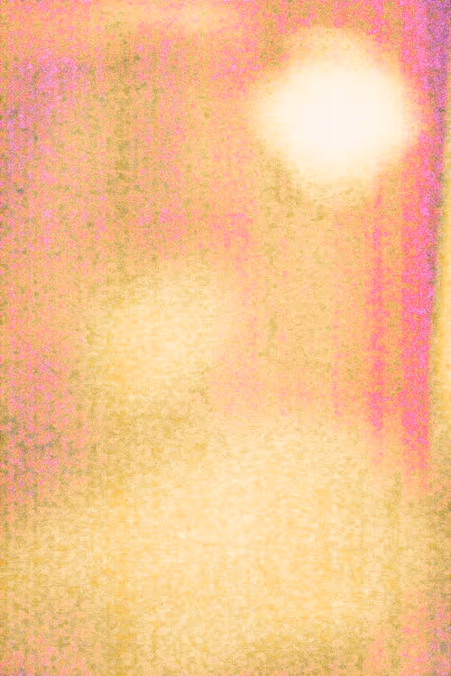 SALT 12