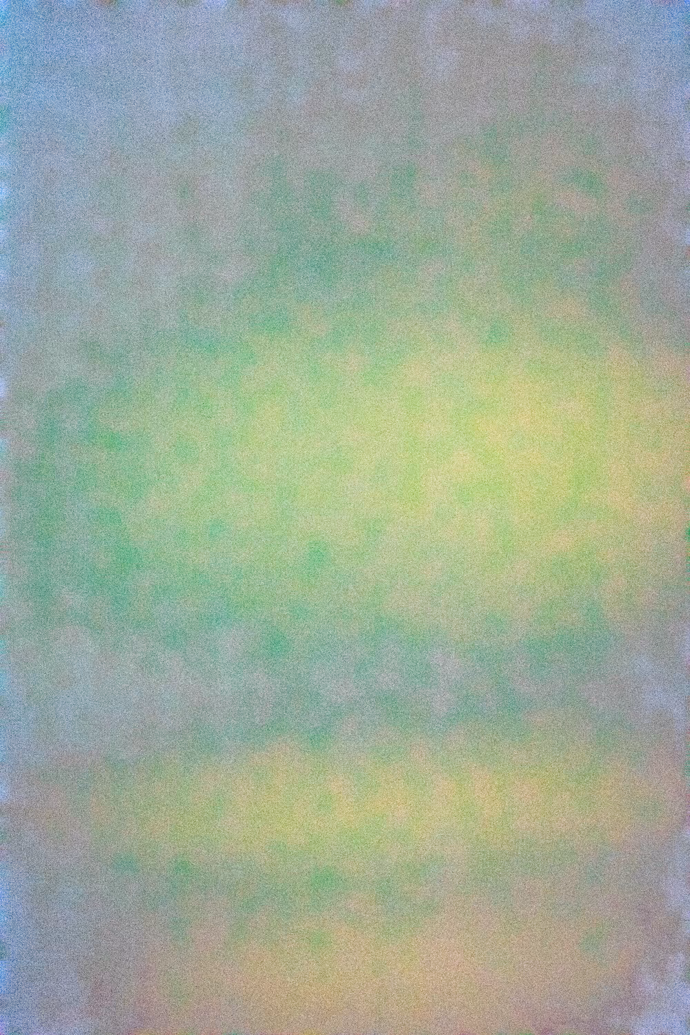 SALT 82