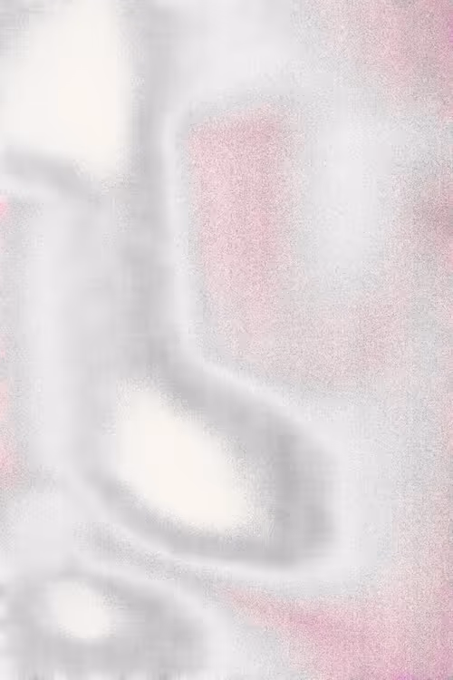 SALT 2