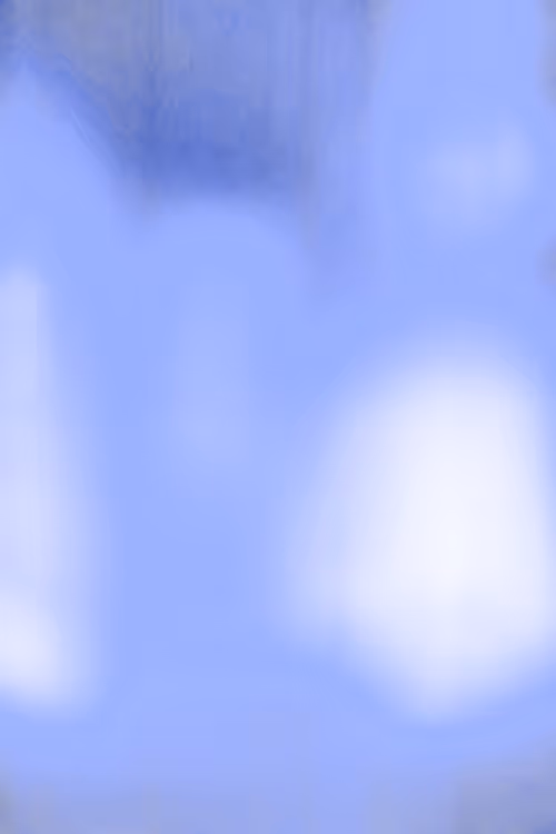 SALT 22