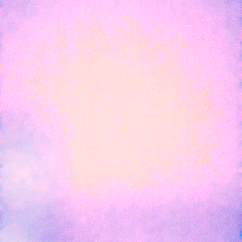 SALT 38