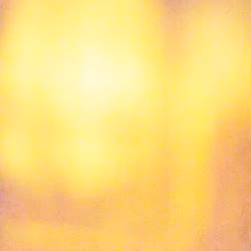 SALT 115