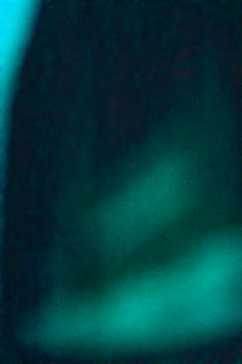 SALT 59