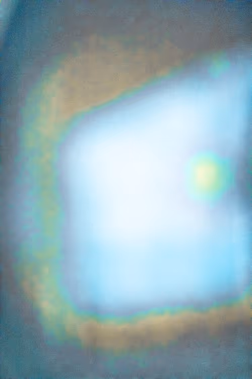 SALT 77