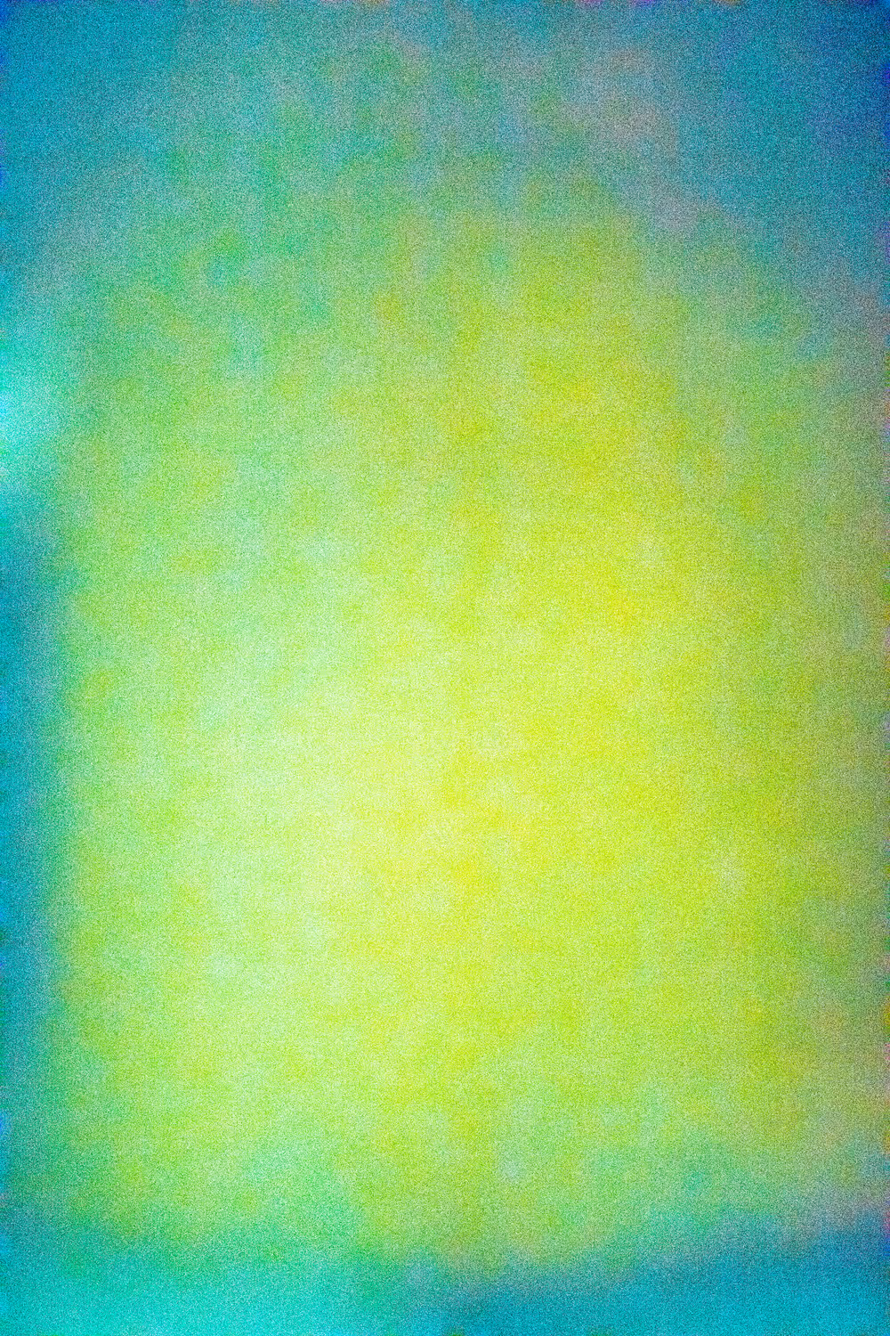 SALT 88
