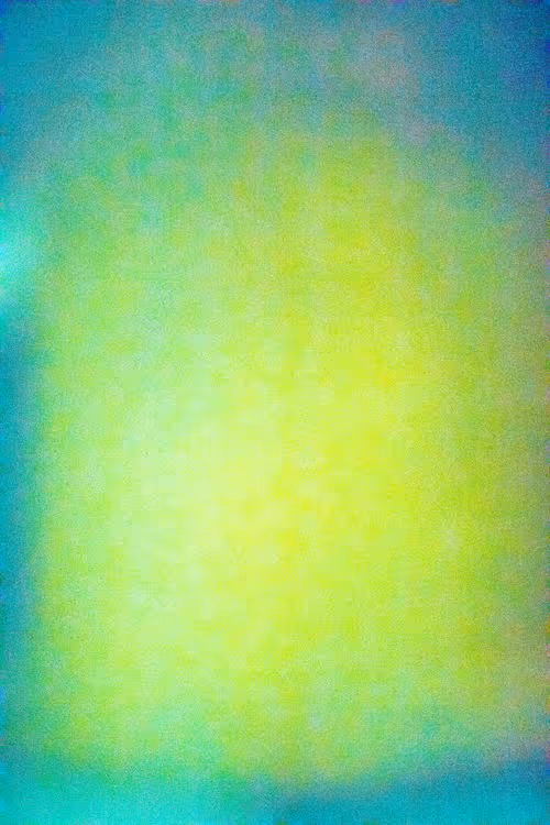 SALT 88