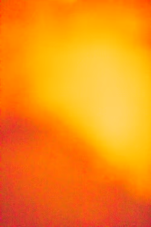 SALT 171