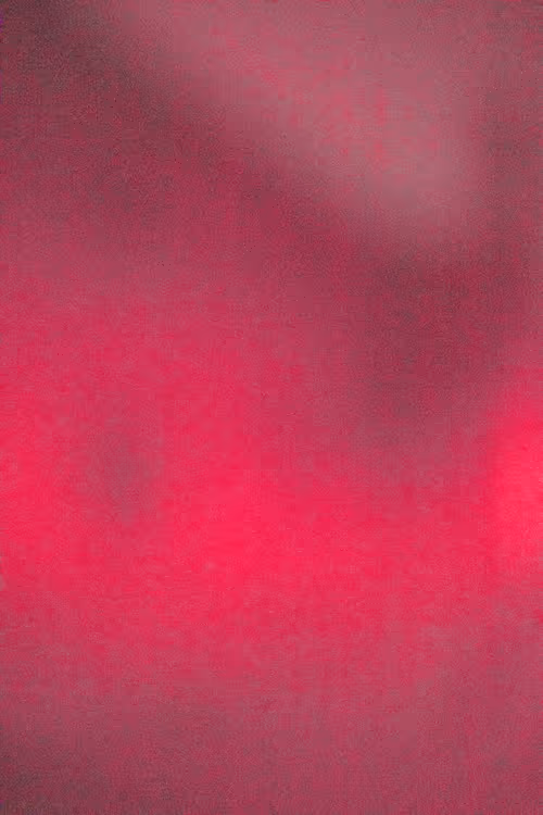 SALT 174