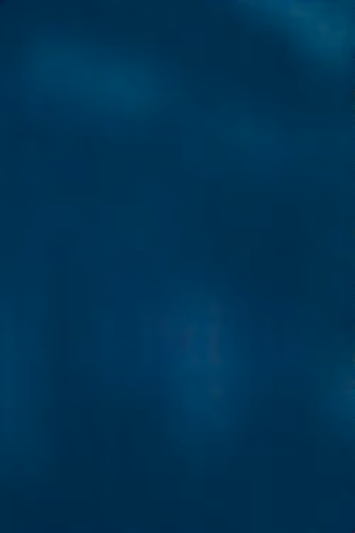 SALT 55