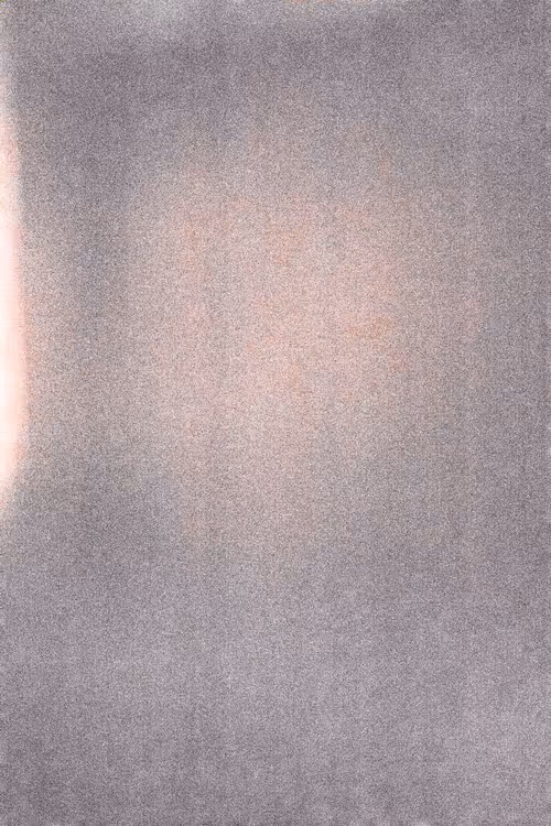 SALT 6