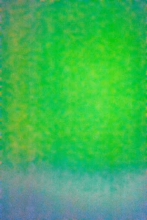 SALT 63