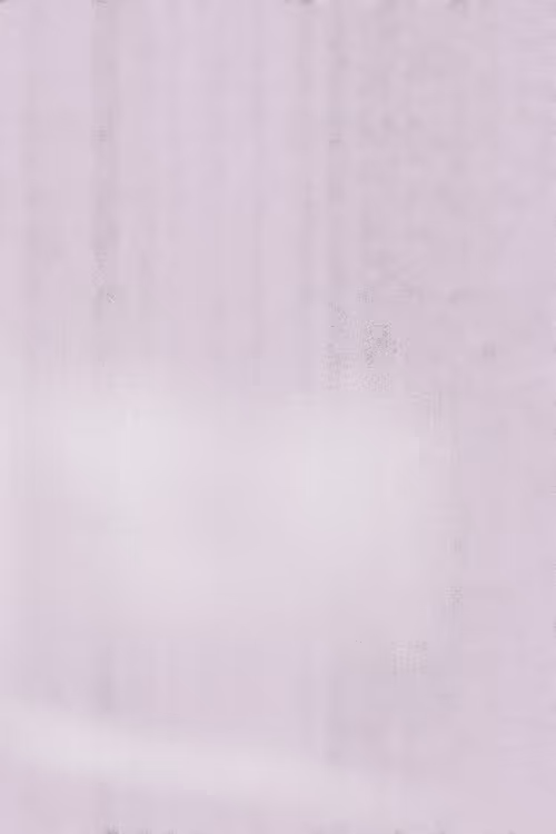 SALT 8