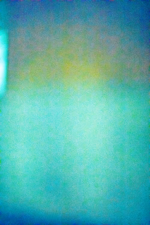 SALT 89