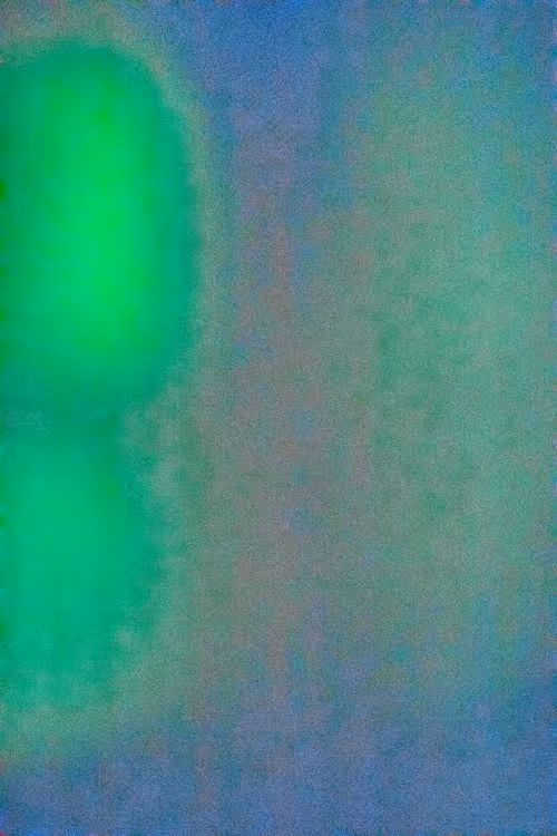 SALT 65
