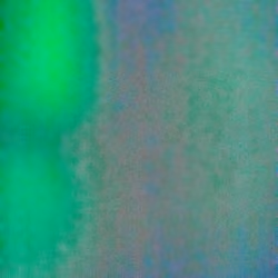 SALT 65