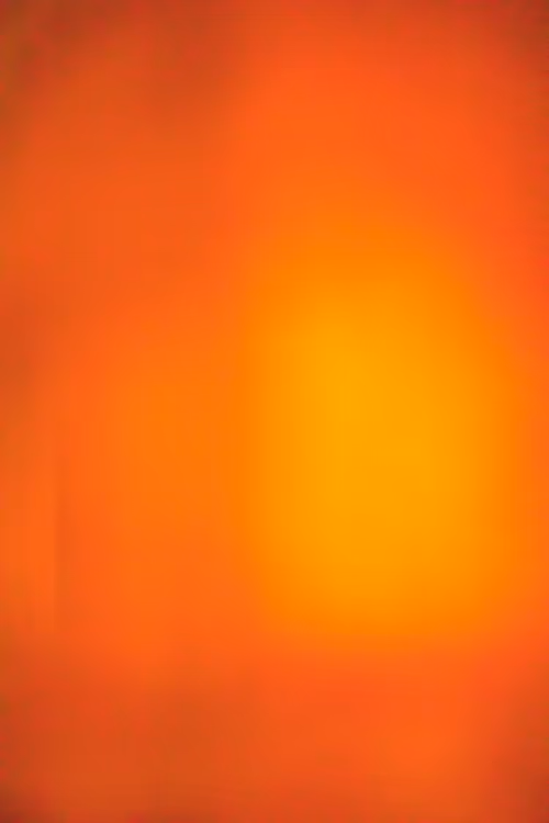 SALT 166