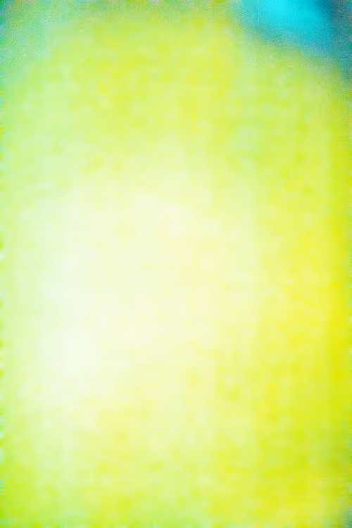 SALT 85
