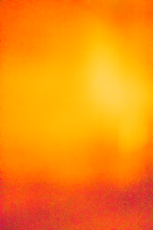 SALT 169