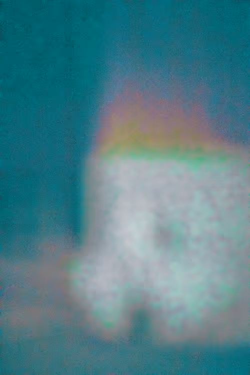 SALT 75