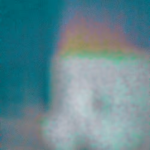 SALT 75