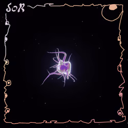 Plankton #50