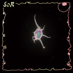 Plankton #15