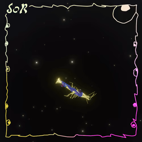 Shrimp #570