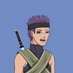 Ninja Village