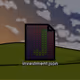 1006