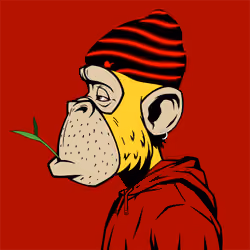 0xRed #1607