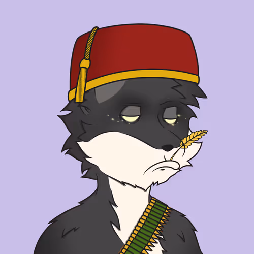 Chill Fox Yacht Club