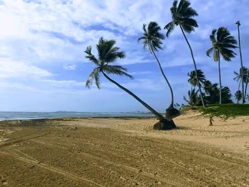 Dreams Punta Cana