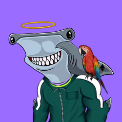 Shark #60