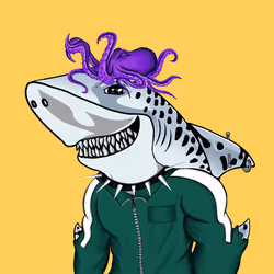 Shark #71