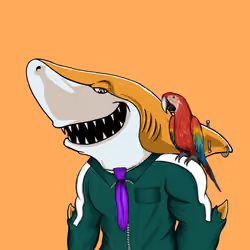 Shark #73
