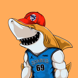 Shark #91