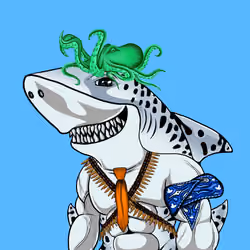 Shark #48