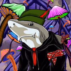 Shark #90
