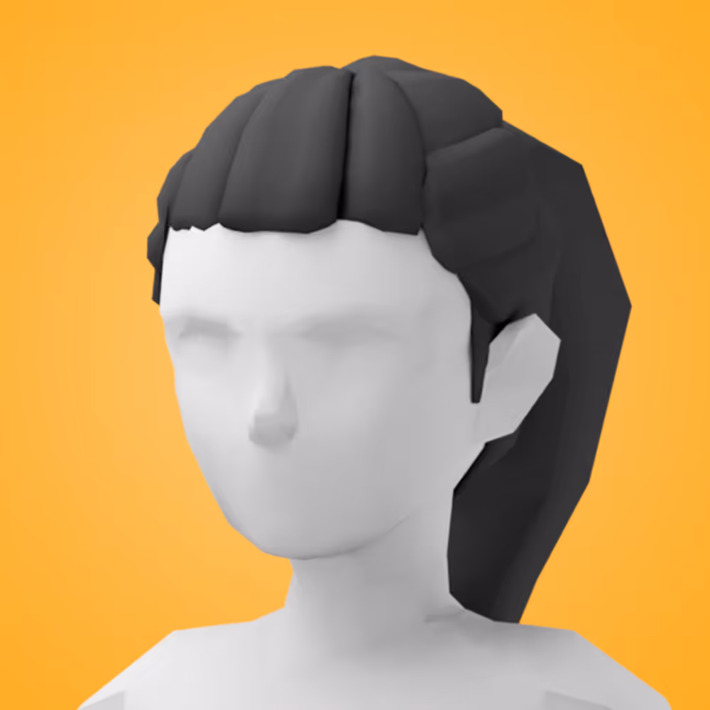 Pony Tail Hair