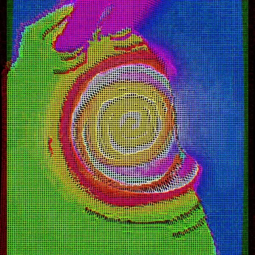 Ngsnft