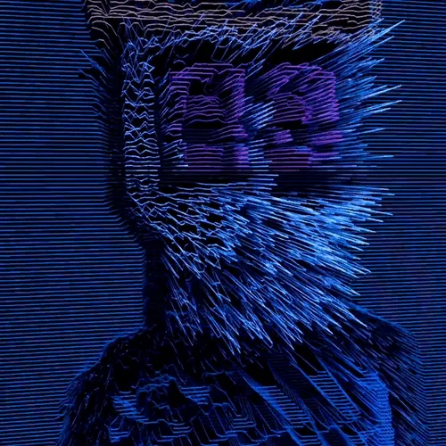 Ngsnft
