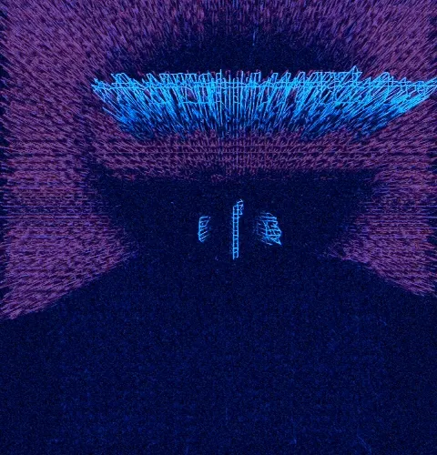 Ngsnft
