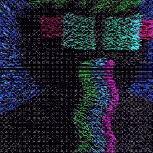 Ngsnft