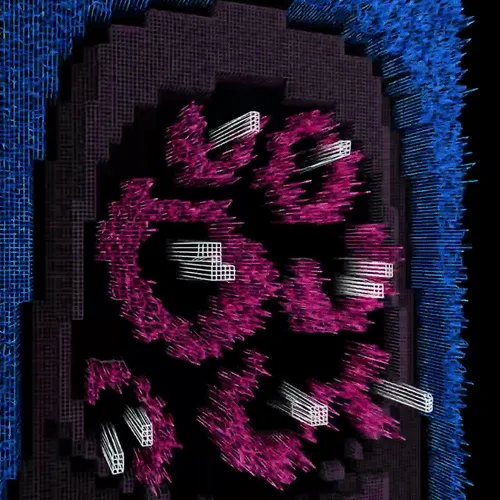 Ngsnft