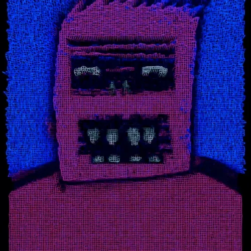 Ngsnft