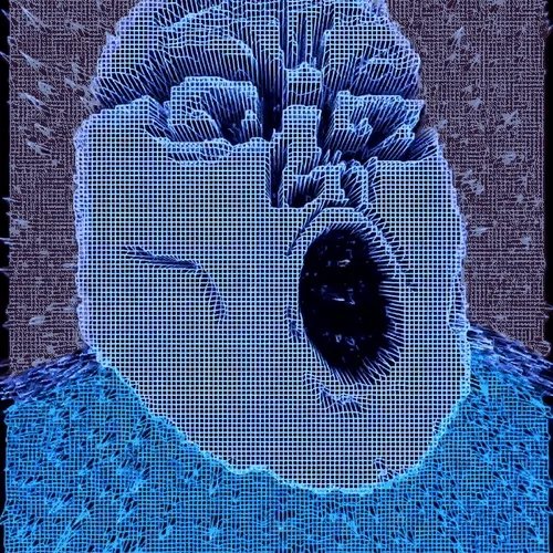 Ngsnft