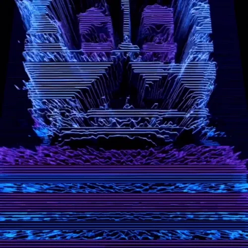Ngsnft