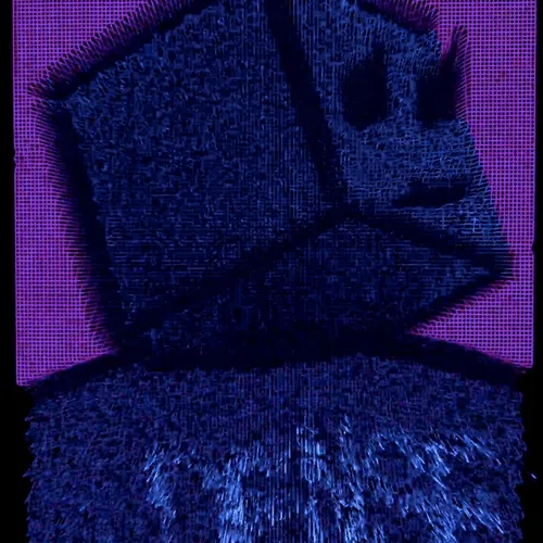 Ngsnft