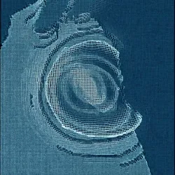 1049