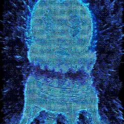 196